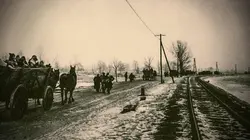 Les déracinés : l'Europe en 45