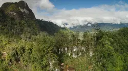 Les dernières momies de Nouvelle-Guinée