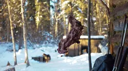 Les derniers Alaskiens Dans la nuit noire