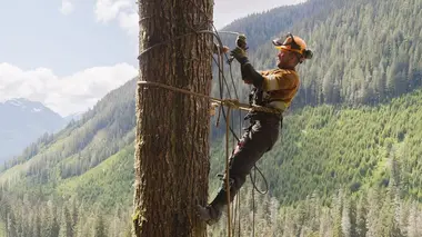 Les derniers bûcherons Faire feu de tout bois