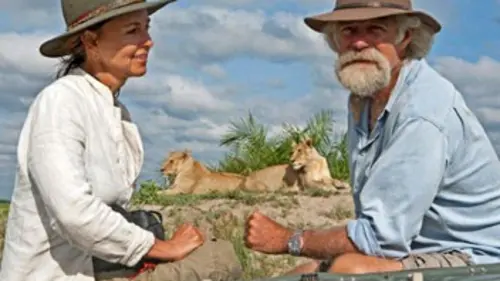 Les derniers félins d'Afrique