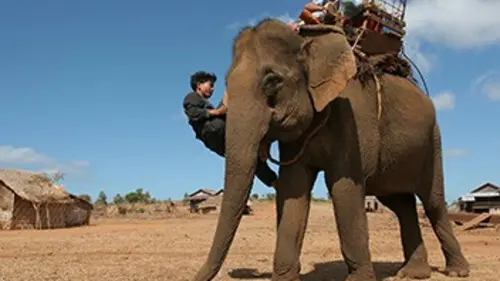 Les derniers hommes éléphants