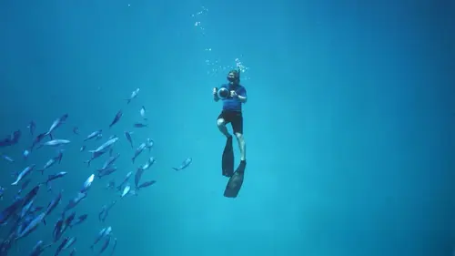 Les derniers mondes sauvages Paradis aquatiques