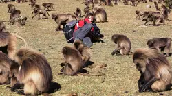 Les derniers mondes sauvages  S03E02 Une nature en danger