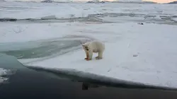 Les derniers mondes sauvages