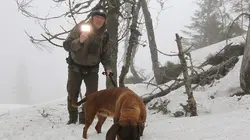 Les derniers mondes sauvages