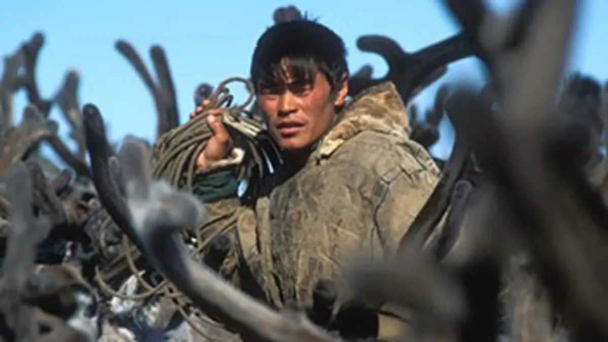 Les derniers nomades