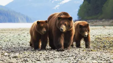 Alaska, l'ultime frontière de l'Amérique