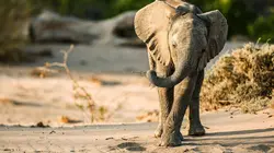 Les derniers paradis sauvages