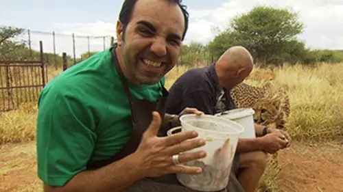 Les derniers refuges E02 Guépards en Namibie