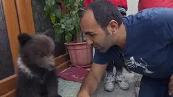 Visuel de Les derniers refuges