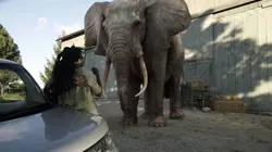 Les derniers rescapés  S01E05 Curiosité