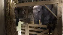 Les derniers rescapés  S01E05 Curiosité