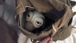 Les derniers rescapés  S01E08 Trouvé et perdu