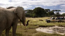 Les derniers rescapés S01E03 L'éléphant