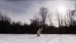 Les derniers rescapés S02E10 La lutte ou la fuite