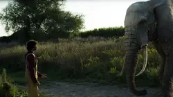 Les derniers rescapés S01E03 L'éléphant