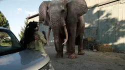 Les derniers rescapés  S01E05 Curiosité