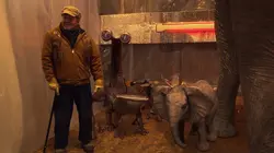 Les derniers rescapés S02E11 La fin est un nouveau début