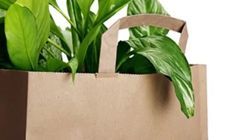 Les dessous du papier