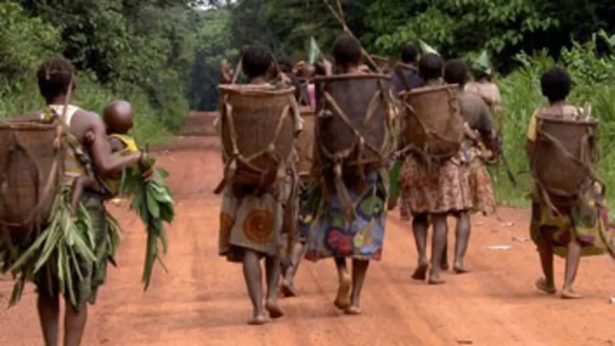 Les deux mondes des Pygmées