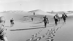 Visuel de Les dieux meurent en Algérie