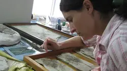 Visuel de Les dinosaures avaient des plumes