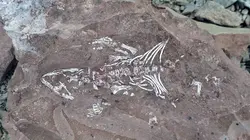 Les dinosaures du Pôle Sud