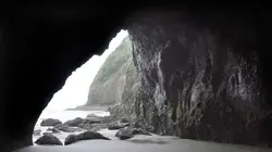 Les disparus de la Black Coast