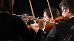 Les Dissonances jouent le Concerto pour orchestre de Bartók