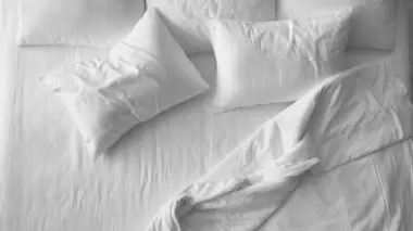 Vous saurez tout sur le pénis