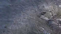 Les dossiers Cold Case Liées par la mort