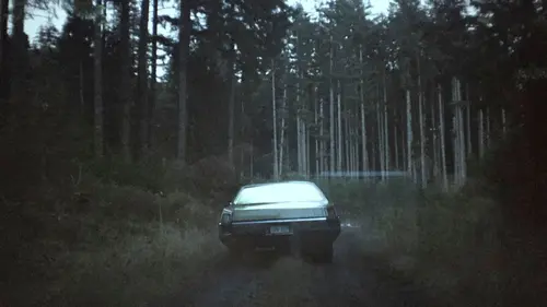 Les dossiers Cold Case Disparues dans les flammes