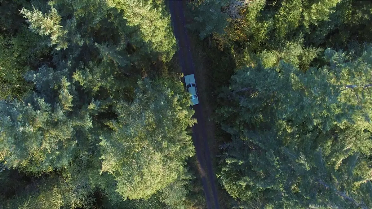 Les dossiers Cold Case Des os dans les bois