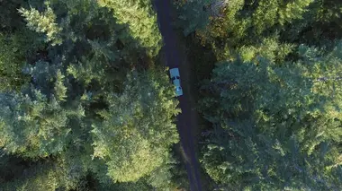 Des os dans les bois