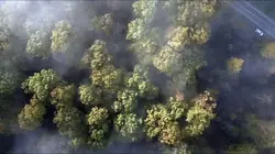 Les dossiers Cold Case S01E10 Le cercle d'amis