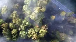 Les dossiers Cold Case S01E10 Le cercle d'amis