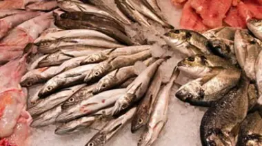 Du poisson pas si bon : enquête sur une filière opaque