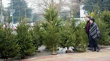 Joyeux Noël, joyeux business