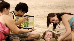 Les drôles de poissons chats en streaming