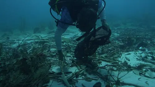 Les éclaireurs de l'eau E01 Ils protègent nos océans