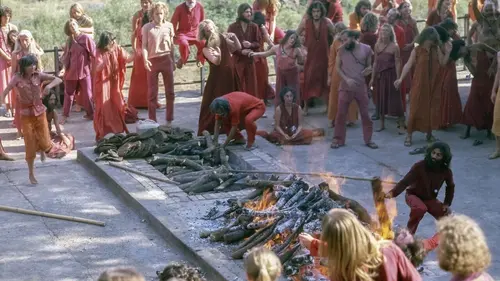 Les enfances brisées de la secte d'Osho