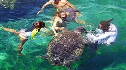 Visuel de Les enfants de la mer