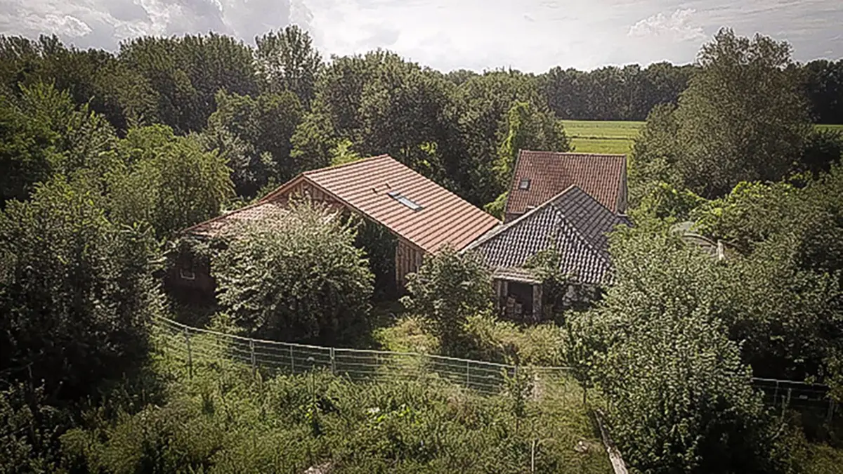 Les enfants de Ruinerwold