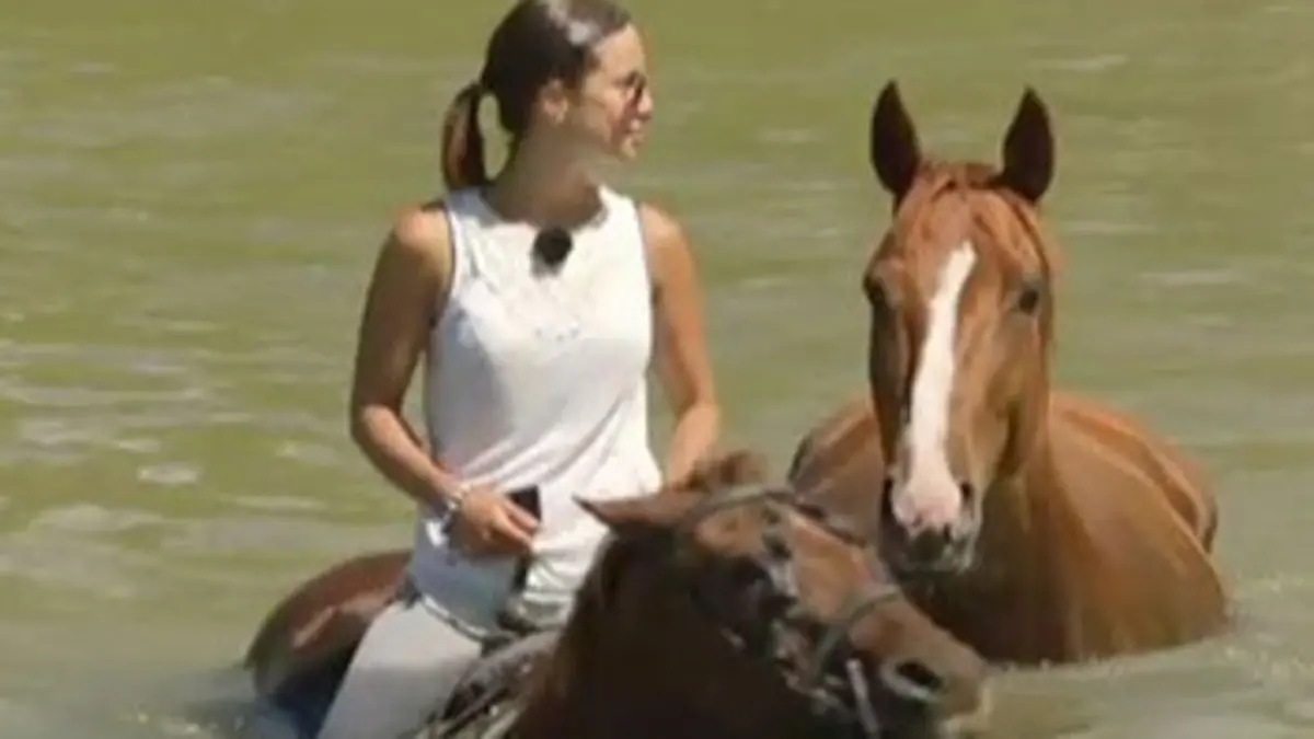 Les enfants du vallon