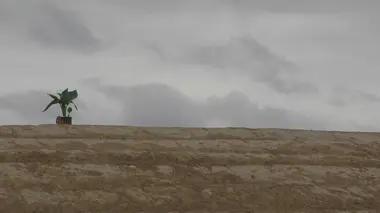 A69 : à contre sens