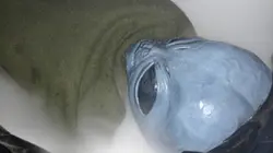 Les énigmes de l'Histoire L'affaire Roswell