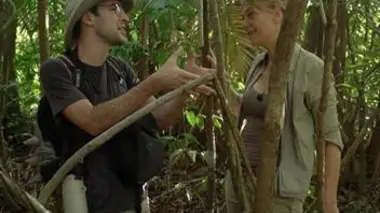 Guyane l'or de la discorde