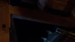 Les enquêtes de Murdoch