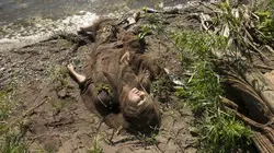 Les enquêtes de Murdoch S08E02 Sur les docks